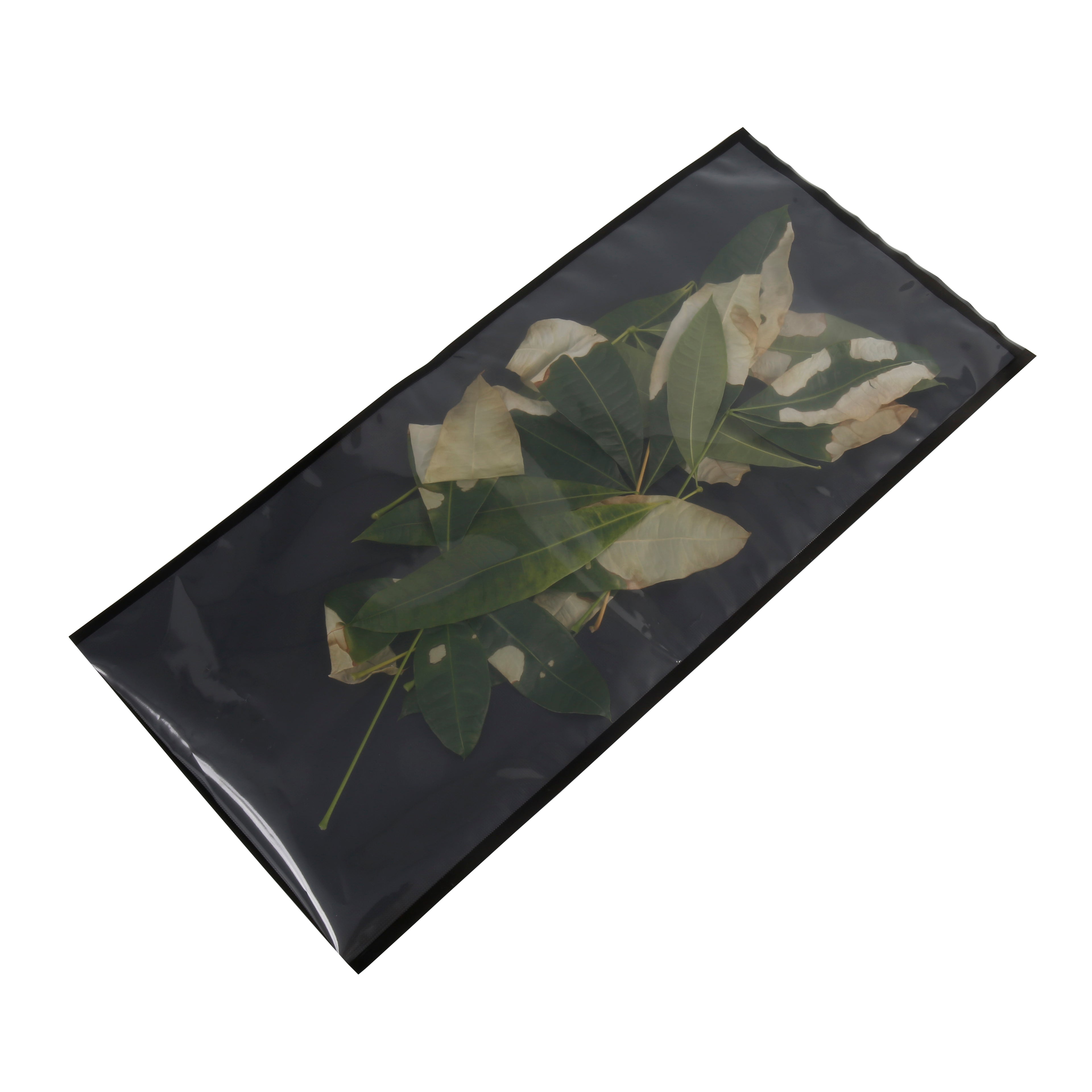 High barrier frozen vacuum bags for food packaging
